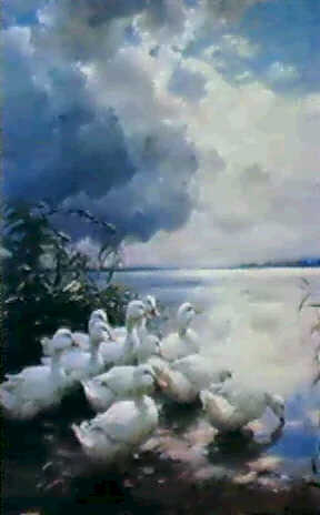 Alexander Koester