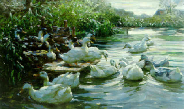 Alexander Koester